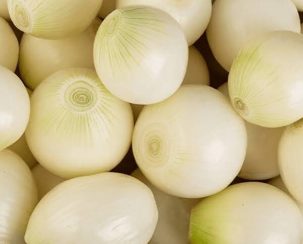 oignon blanc